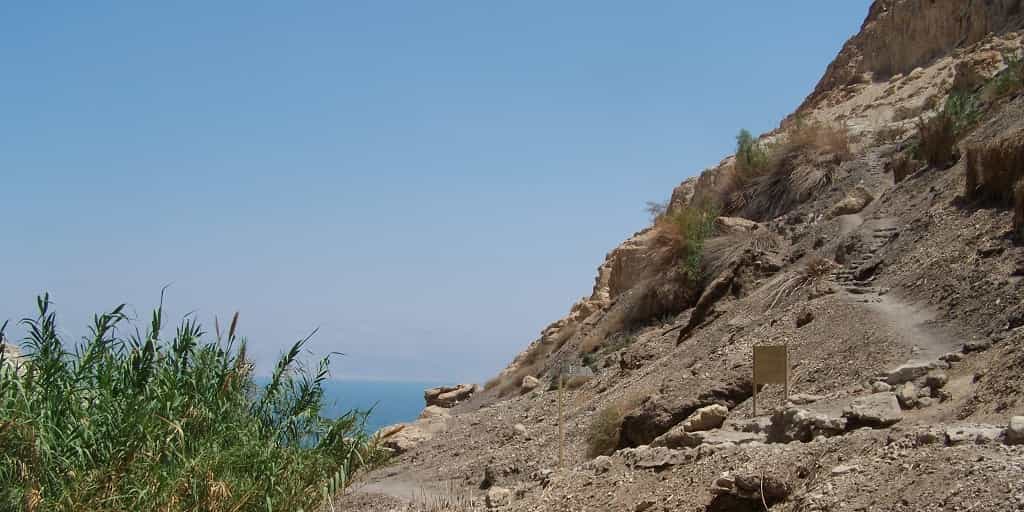 Ein-Gedi-outlook-of-Dead-Sea Hot and Now Tours in Israel 