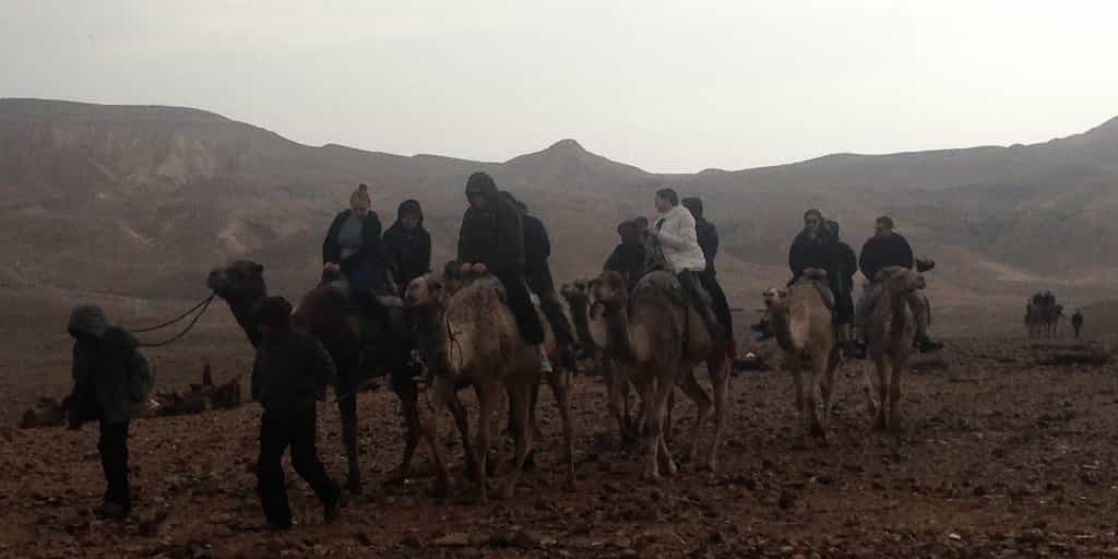 Negev-Camel-Riding.1 Ready for your Jewish Birthright Trip to Israel? 
