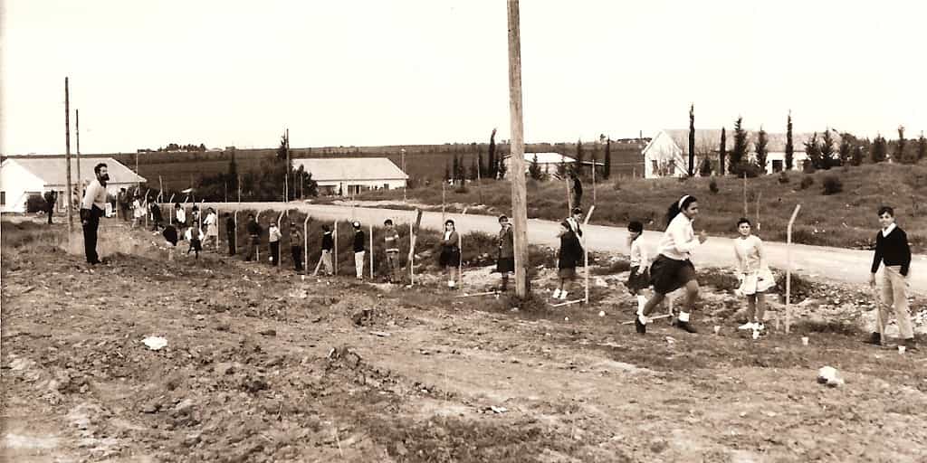 tree-planting-in-school 70 Years Since the UN Partition Plan Vote 